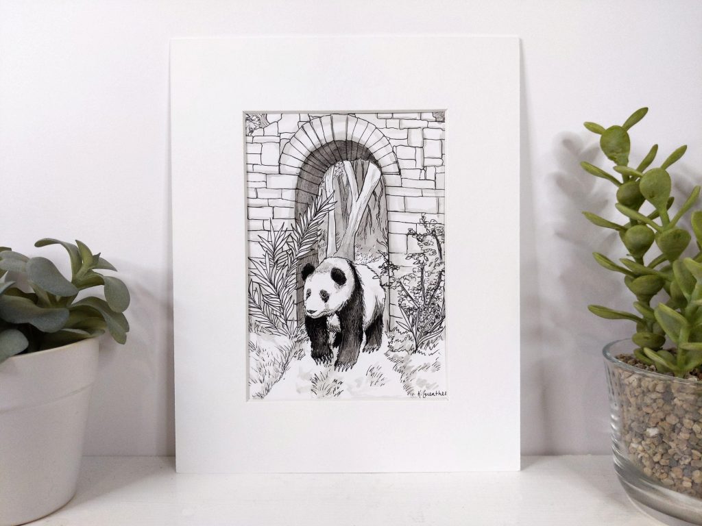 Panda Print, Pen and Ink Drawings, offers Animal Art, 8 x 10 Giclee Art Print, 11x 14 Matted