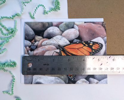 Monarch Butterfly 4.25 x 5.5" Greeting Card- Blank inside, with envelope - Image 2