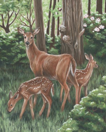 Doe and Fawns- 8x10 Inch Art Print - Image 3